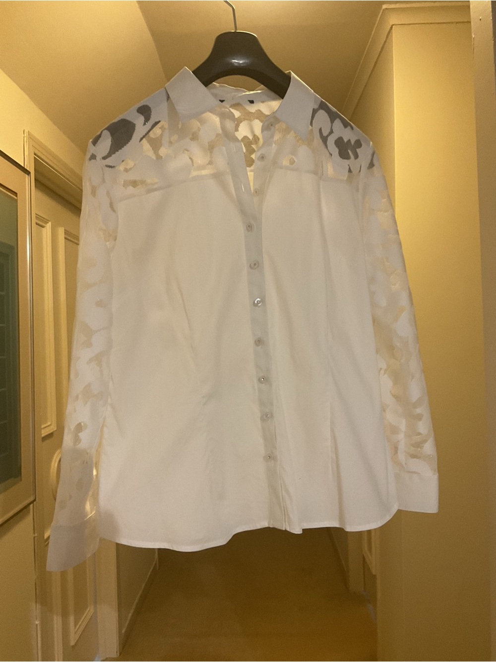 White Button-Up Blouse with Sheer Lace Yoke and Sleeves